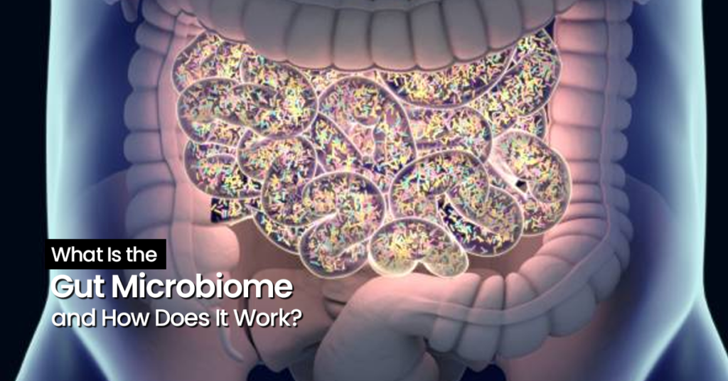 Gut Microbiome