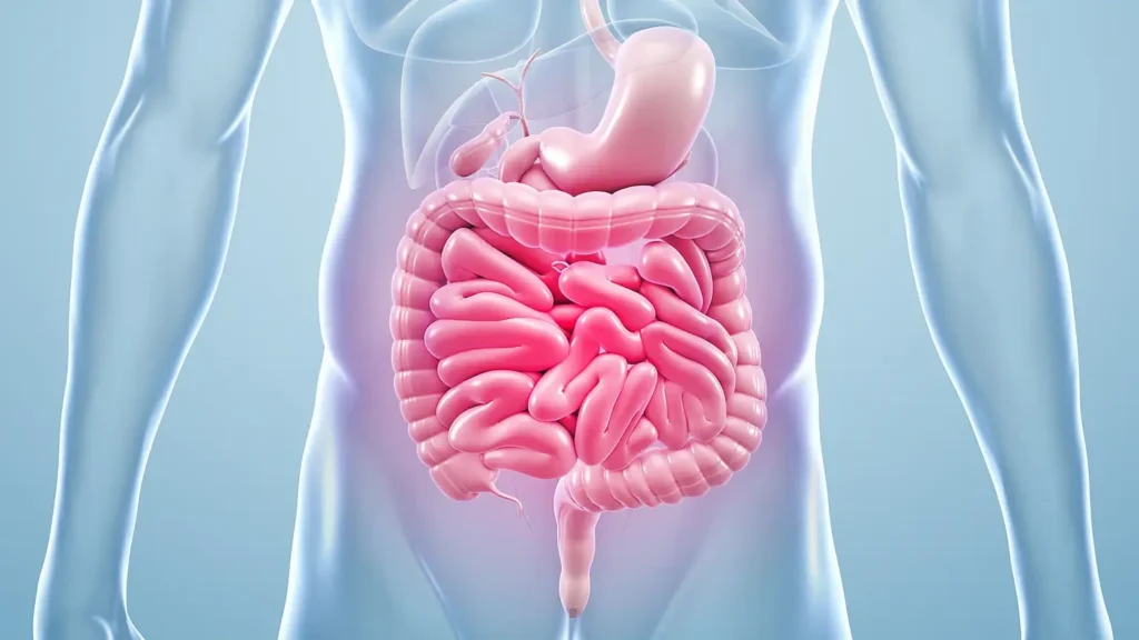 Improve Your Gut Health