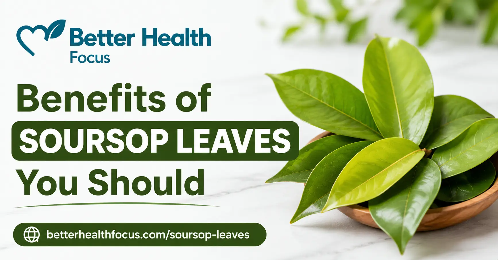 15 Science-Based Health Benefits of Soursop Leaves
